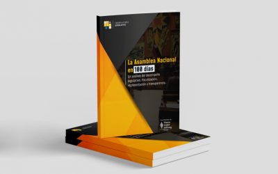 La Asamblea Nacional en 100 días